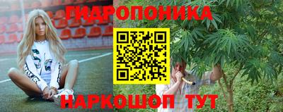 кокс Обь