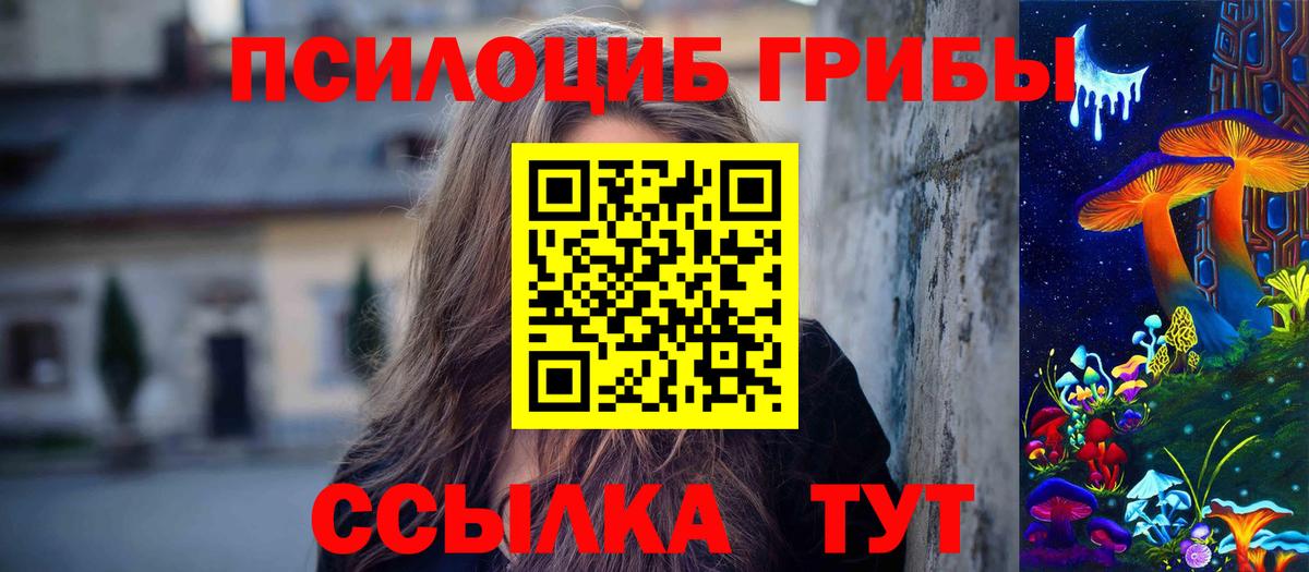 Псилоцибиновые грибы мицелий Тулун